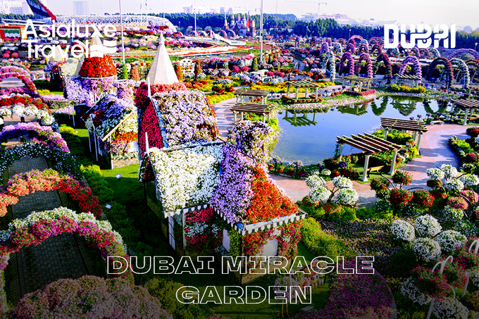 asialuxe travel, реклама