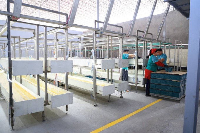 erkin iqtisodiy zona, qo'qon