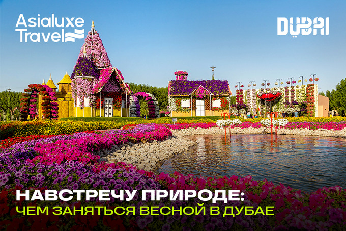 Навстречу природе: чем заняться весной в Дубае под открытым небом