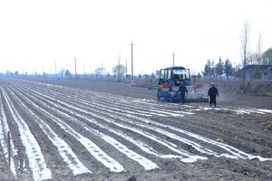 Сдачу земли для сельского хозяйства в аренду через онлайн-торги ускорят