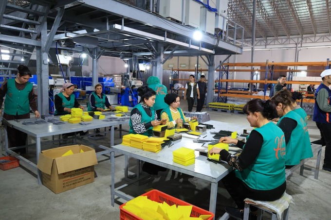 erkin iqtisodiy zona, qo'qon