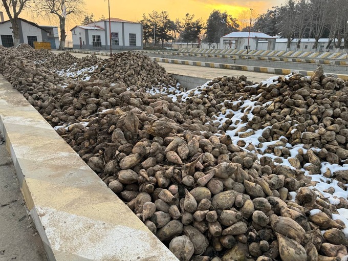 афганистан, торгово-промышленная палата, торговый дом