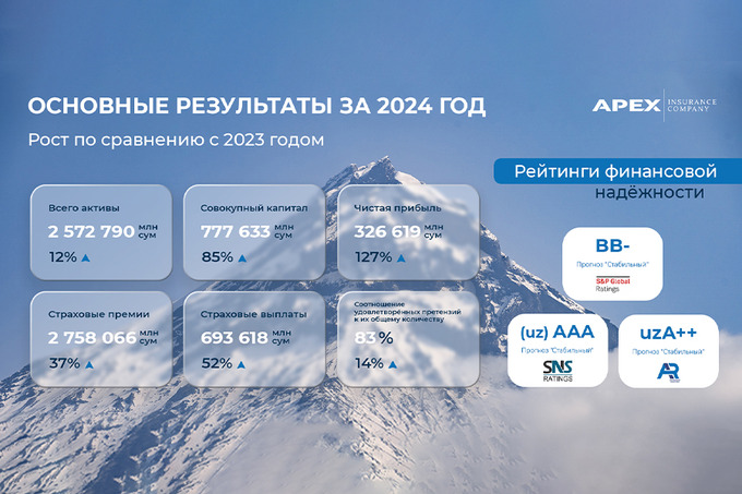 APEX INSURANCE поделился итогами 2024 года
