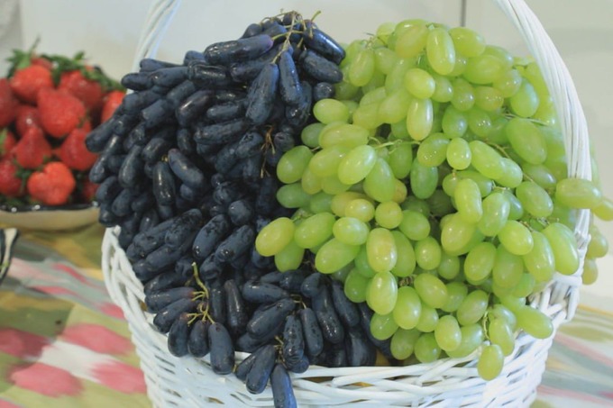 овощи, омск, россия, фрукты, экспорт