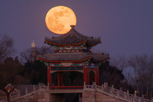 Xitoy va Rossiya Oyda AES qurishi mumkin — Reuters