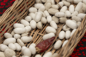 Шелковичные фермы освободят от налогов на землю и имущество до 2029 года