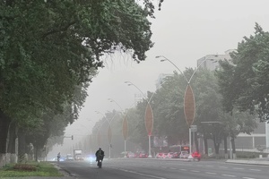 Prezident butun mamlakatda havo ifloslanishiga qarshi choralarni kuchaytirishni topshirdi