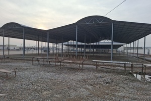 Госдоля в рыночном комплексе на торгах подорожала более чем в 12 раз