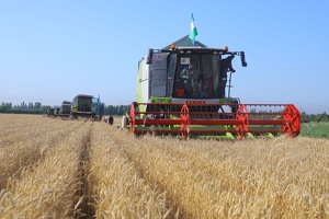 В Узбекистане учреждается Фонд агрострахования с 35 млрд сумов уставного капитала