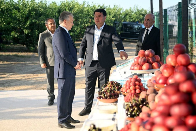 bog‘dorchilik, kumushkon, mehmon uyi, parkent, prezident, tadbirkorlik, toshkent viloyati, turizm