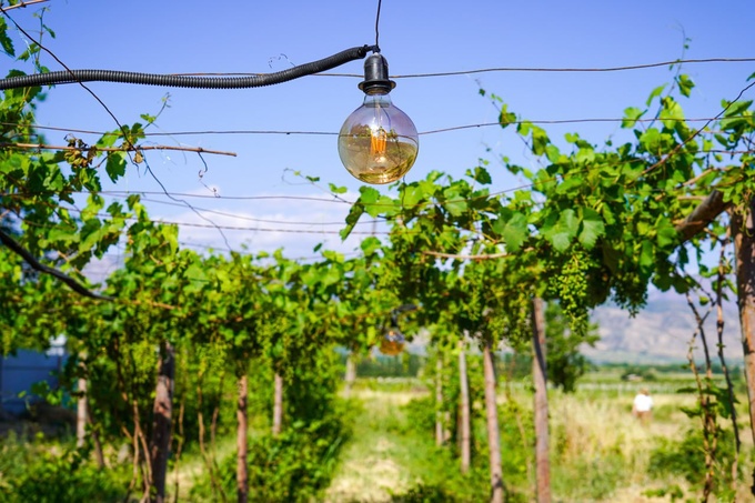 паркент, ташкентская область, туризм, чаткал