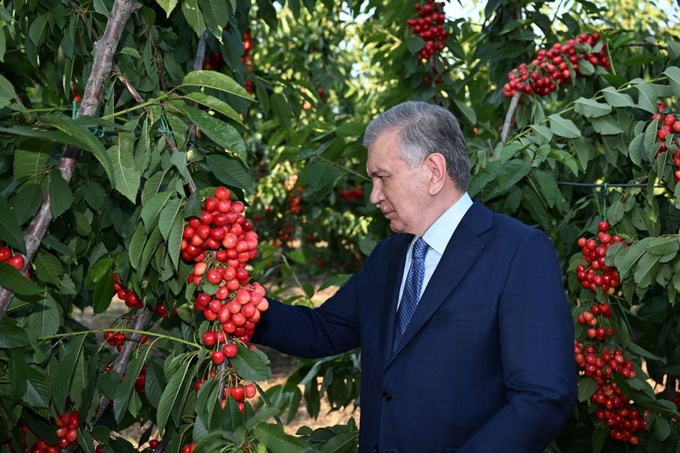 bog‘dorchilik, kumushkon, mehmon uyi, parkent, prezident, tadbirkorlik, toshkent viloyati, turizm
