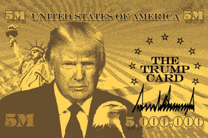 В США запустили сайт для подачи заявок на «золотую карту» Трампа за $5 млн