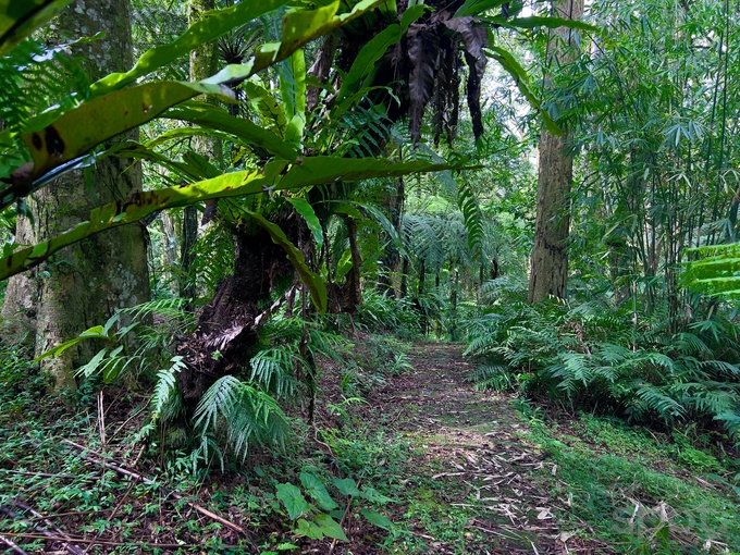 личный опыт путешествия, остров бали
