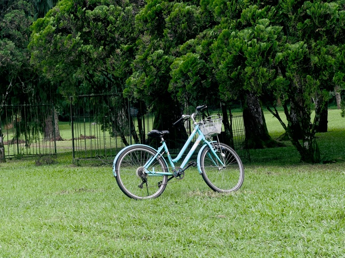личный опыт путешествия, остров бали