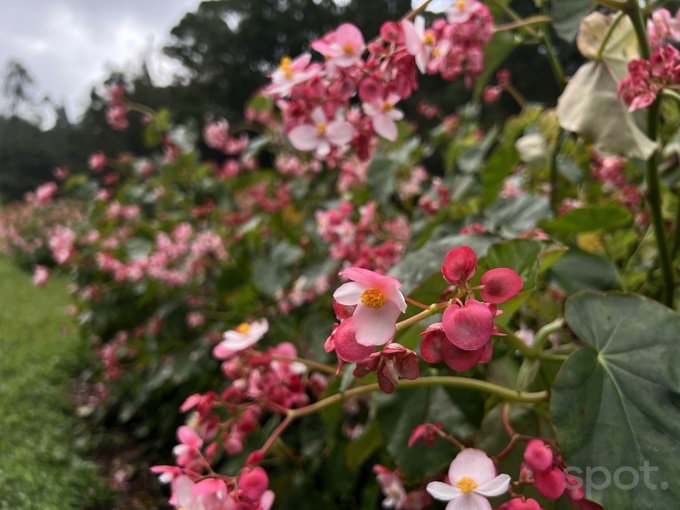 личный опыт путешествия, остров бали