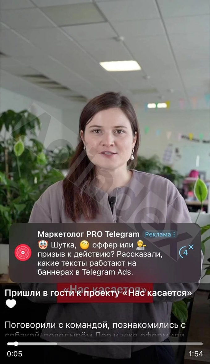 reklama, telegram, video