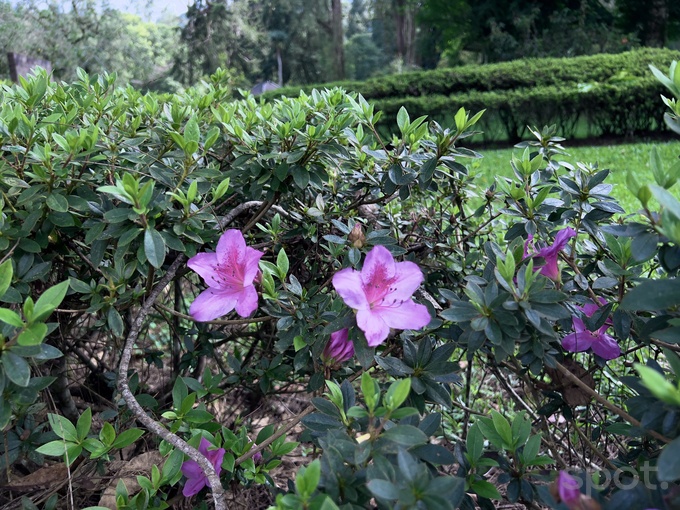 личный опыт путешествия, остров бали