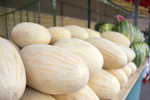 O‘zbekistonda bir hafta ichida qovun narxi uch barobarga arzonlashdi