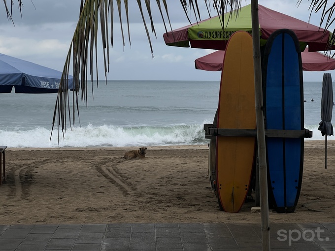 личный опыт путешествия, остров бали