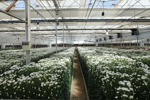 Ставку социального налога для теплиц до конца 2028 года снизят до 1%