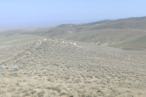 Золотоносный участок в Навоийской области продали за 99 млрд сумов