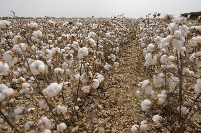 главное за неделю