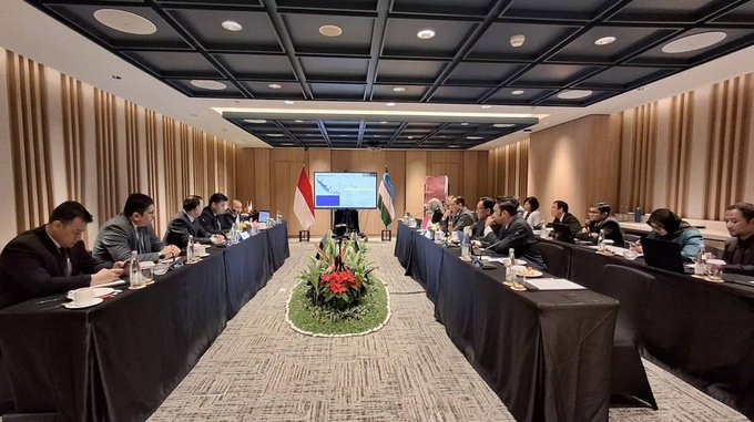 aviachipta, aviaqatnov, bali, indoneziya, transport vazirligi