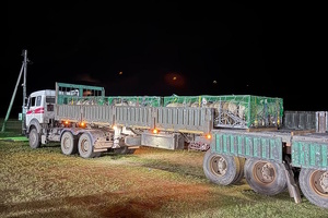 Монголия отправила в Узбекистан первую партию овец в 1000 голов