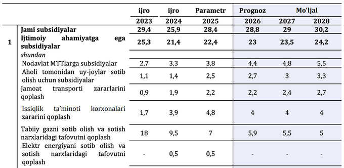 elektr energiyasi, energetika, gaz, issiqlik ta’minoti, subsidiya