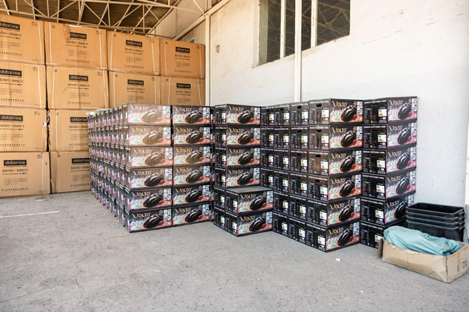 volto, реклама