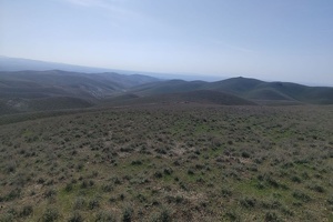 Navoiyda oltin zaxirasi 6 tonnaga baholangan Temirchi koni 67,78 mlrd so‘mga sotildi