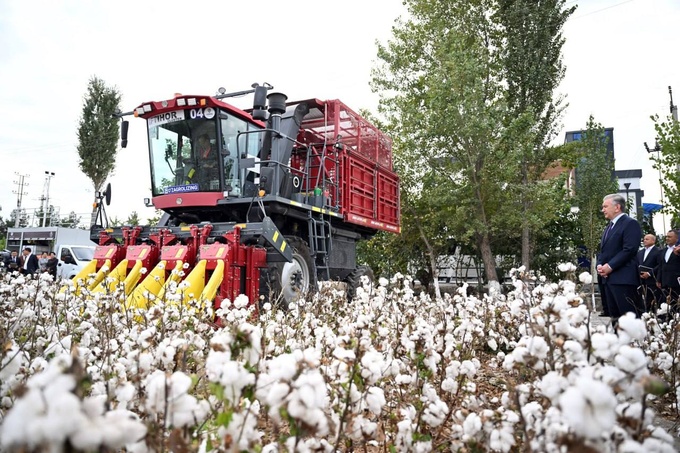 baliq, baliqchilik, fermer, namangan, paxta, prezident, shavkat mirziyoyev