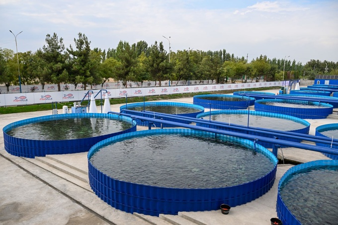 Foto: Prezident matbuot xizmati