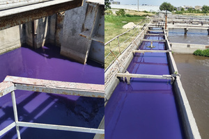 После загрязнения канала Бозсу возбуждено уголовное дело против «Тошкент сув таъминоти»