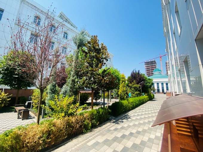 ауга, аукцион, приватизация, ташкент