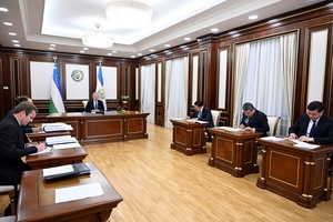 Все сельскохозяйственные земли Узбекистана перейдут на арендное право к 2027 году