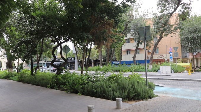 гастроулица, мирзо-улугбекский район, ташкент, узбекистон овози