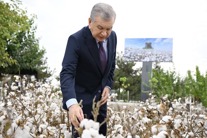 baliq, baliqchilik, fermer, namangan, paxta, prezident, shavkat mirziyoyev