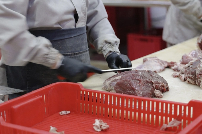 fastfud, oqtepa lavash, umumiy ovqatlanish