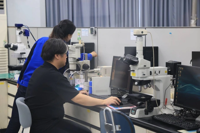 автозапчасти, ферганская область, южная корея, hansae mobility