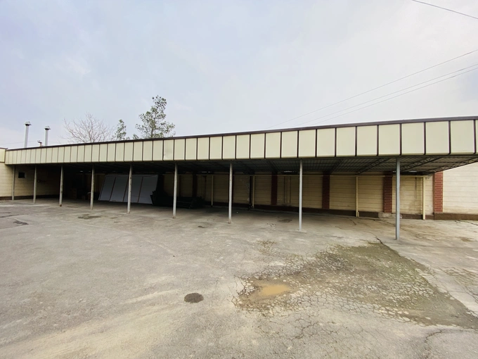 ауга, аукцион, бектемирский район, хокимият