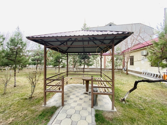 ауга, аукцион, бектемирский район, хокимият