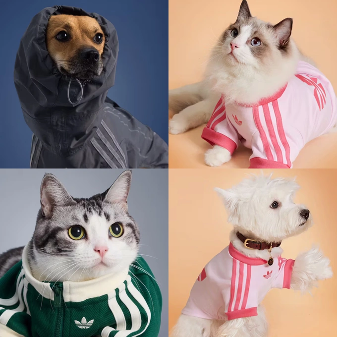 adidas, hayvonlar, kolleksiya
