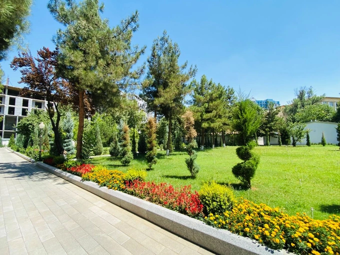 ауга, аукцион, комитет по автомобильным дорогам