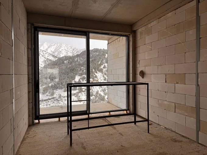 амирсой, аукцион, чимган