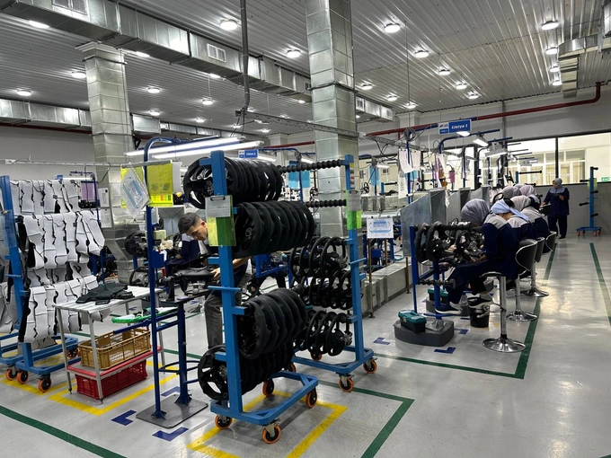 auto fortis, автопром, приватизация