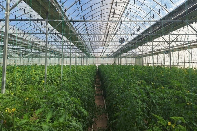 Мирзиёев поручил обеспечить бесперебойное газоснабжение теплиц в Ташкенте и пригородах