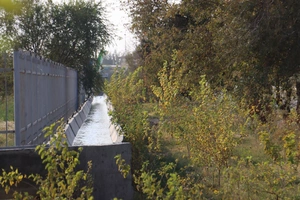 Вводятся штрафы за засорение арыков и ирригационных каналов