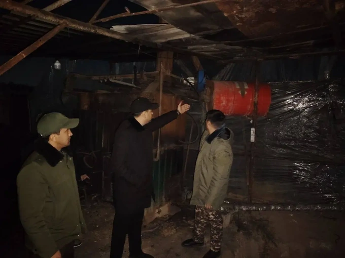 минэкологии, теплицы